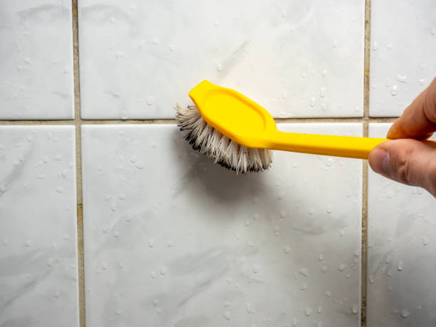 Mold Removal and Inspection in Putney, GA