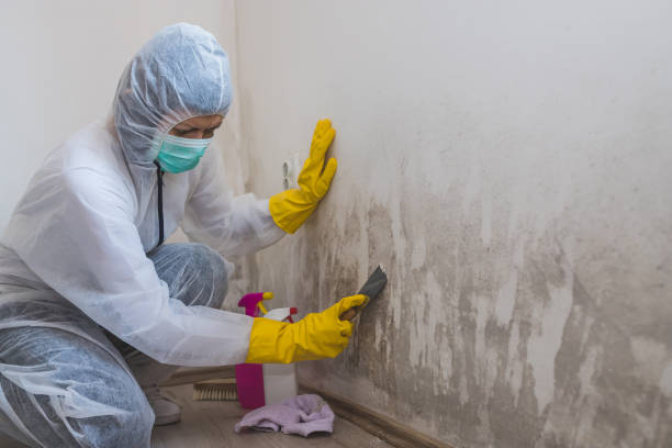 Water Damage Restoration in Putney, GA