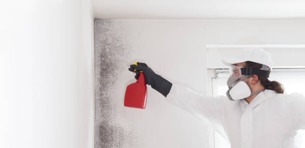 Best Fast Mold Removal  in Putney, GA